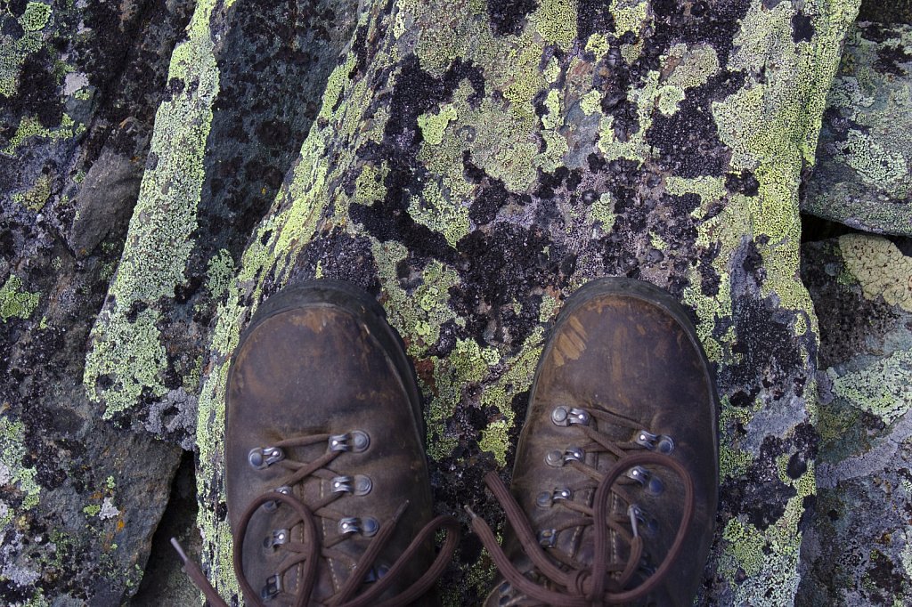Lichens and Boots